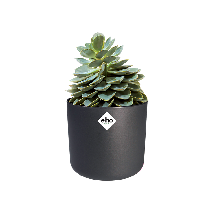 b.for soft rund 25cm anthrazit